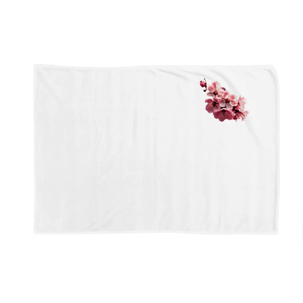 BONNAGOの桜 Blanket