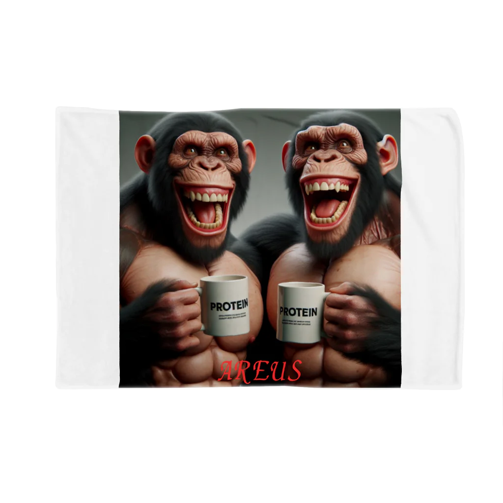 AREUSのAREUS× CHIMPANZEE#3 Blanket