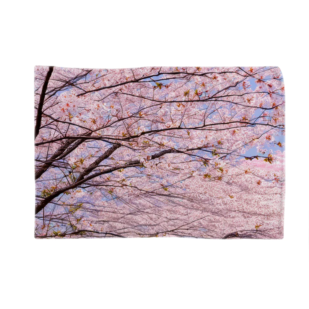 辺賦志ショップの美しき桜 ブランケット