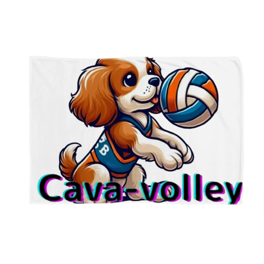 cava-sports　【キャバースポーツ】のcava-volley Blanket