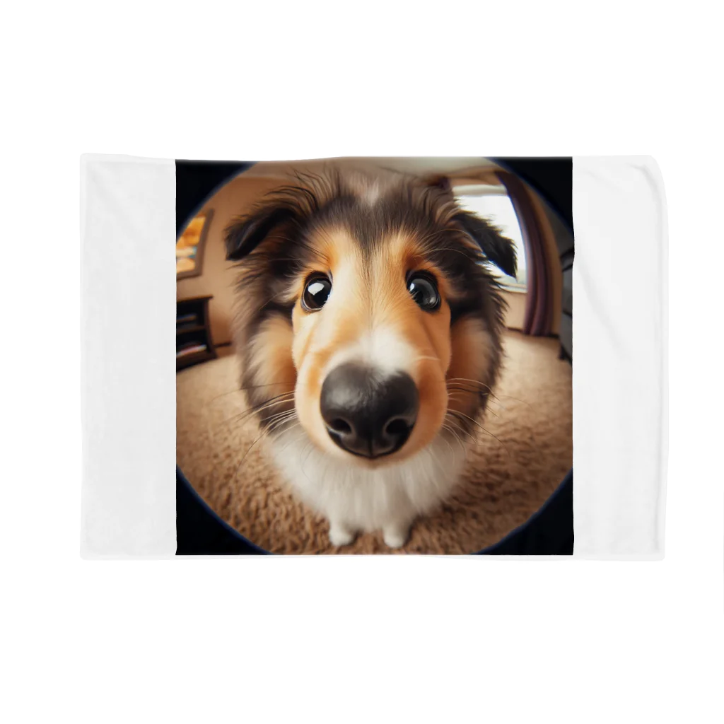 mermaidのcollie Blanket