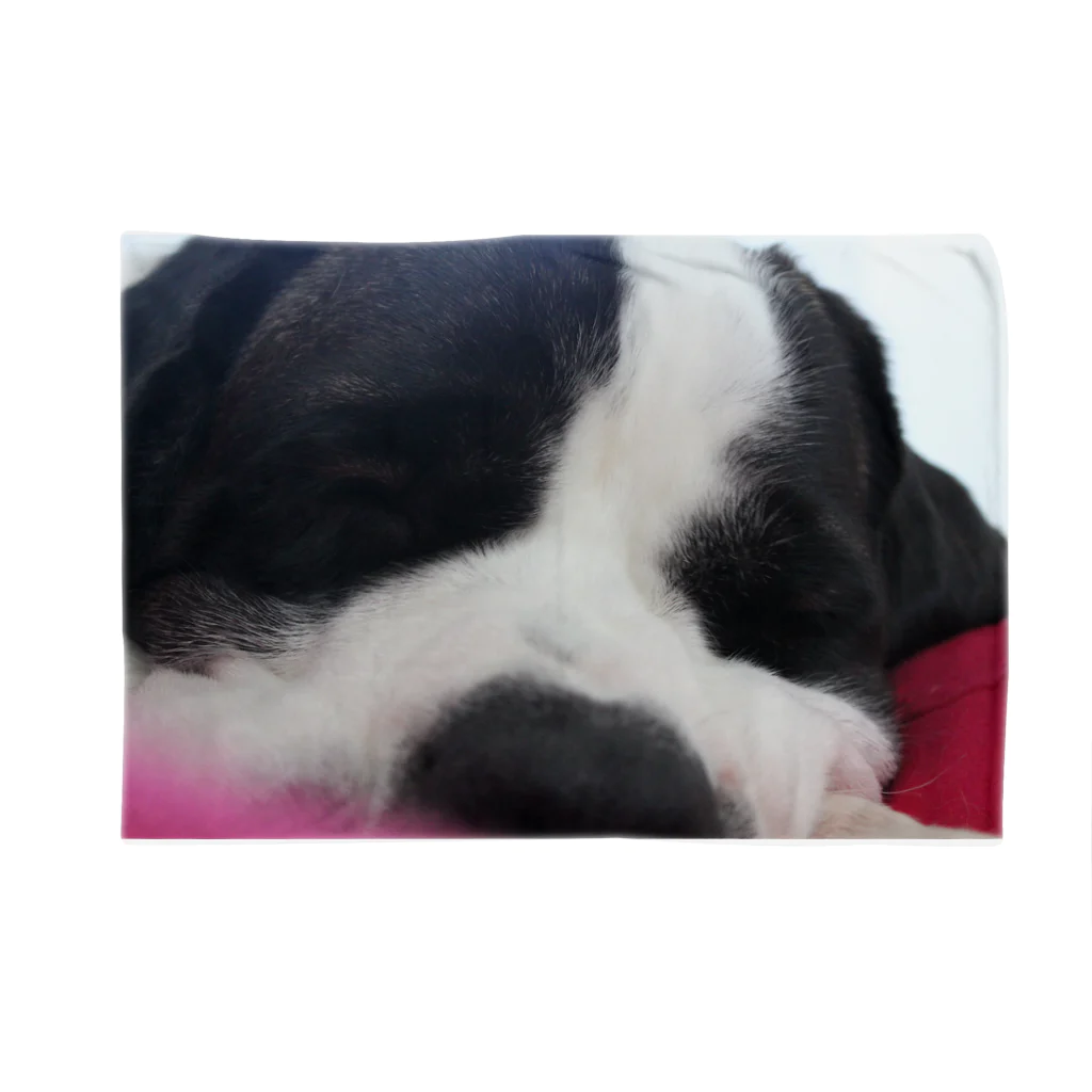 BIBIRINANAのNANAブランケット Typ2 Blanket