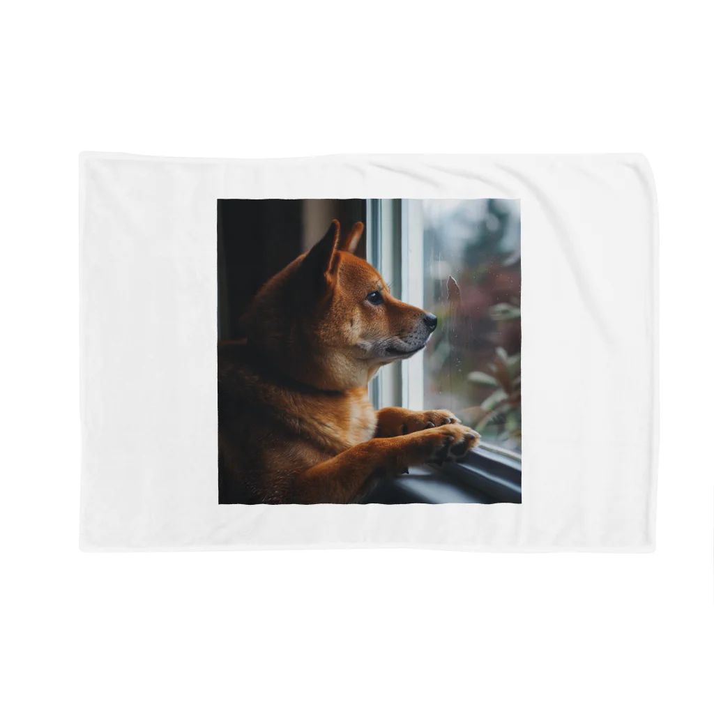 AQUAMETAVERSEの可愛い柴犬　1434 Blanket