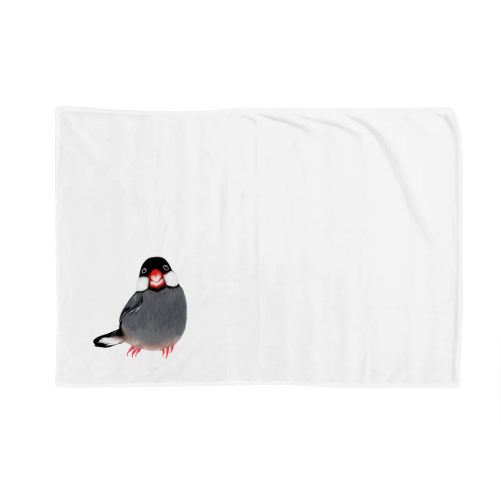ジョリイの店の桜文鳥 Blanket
