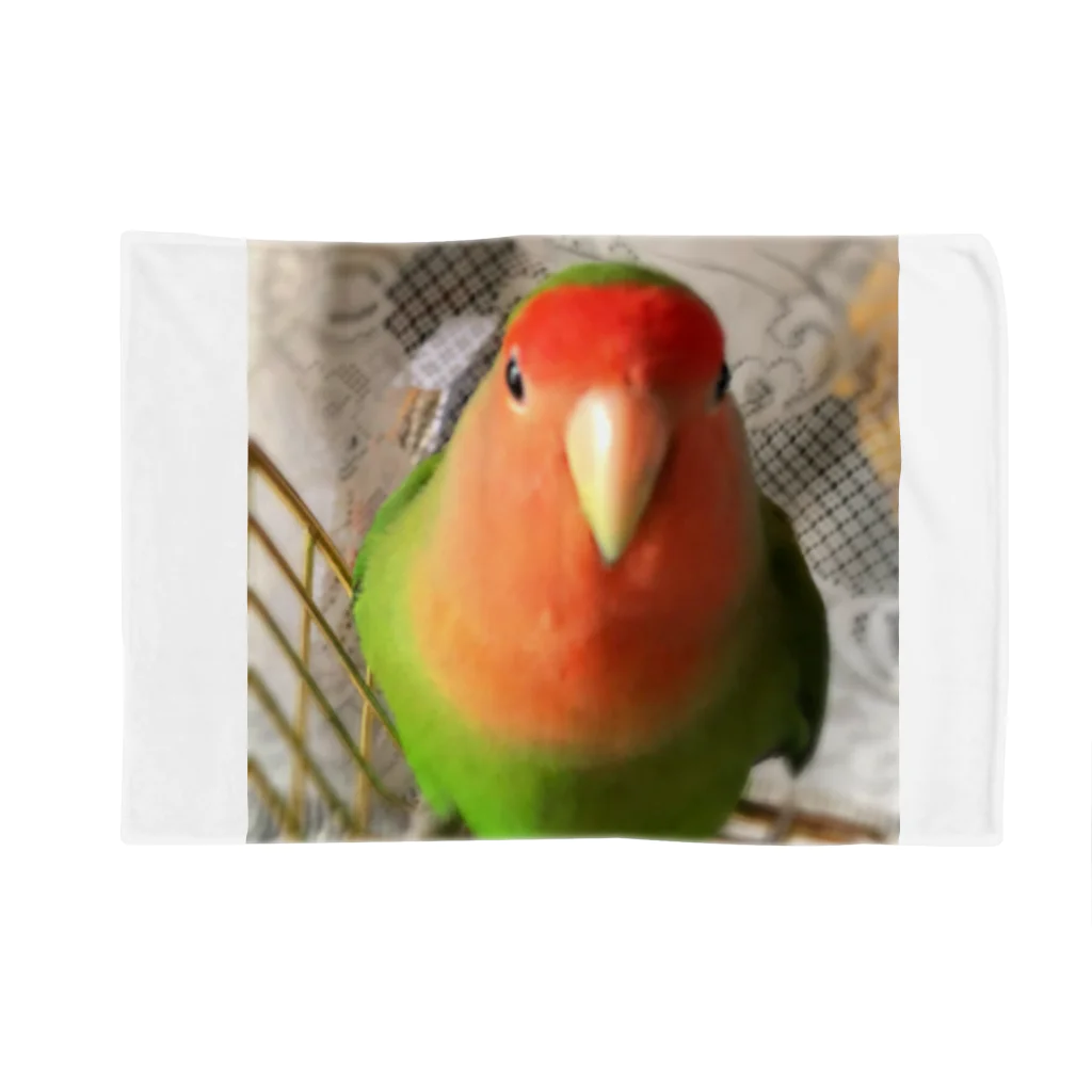 JADEのインコ界の用心棒、ジェイド之介 Blanket