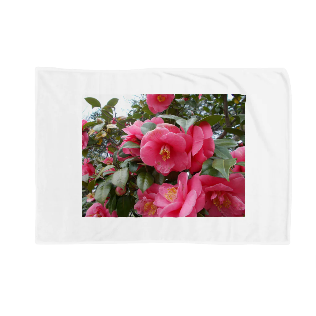 fun timeのPink camelia blooming カメリア Blanket