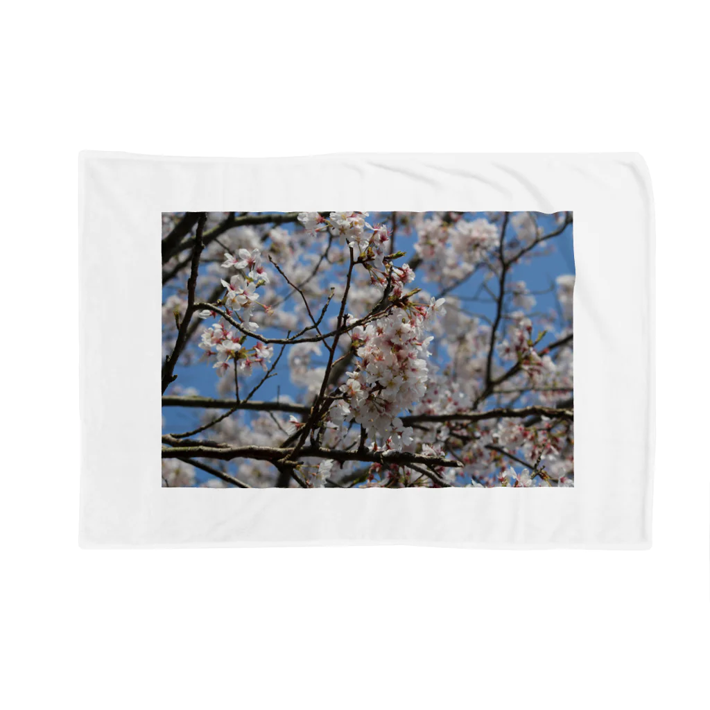 愁諷の桜ーSAKURAー Blanket