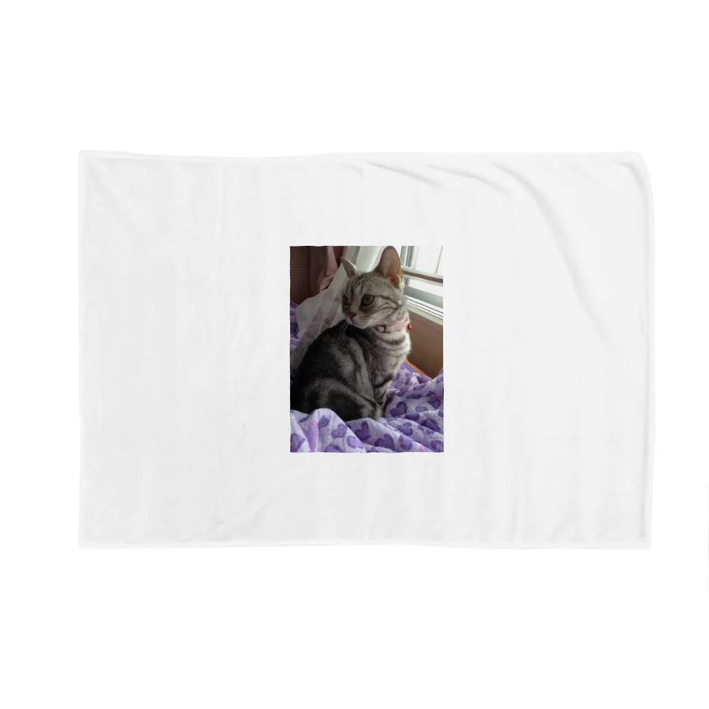 CarrieMomの見返り美猫キャリー1  Blanket