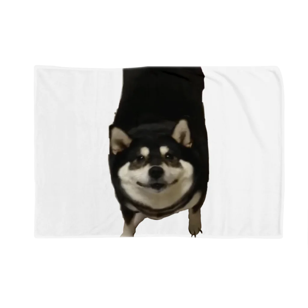 柴犬 Himeko kawaii shop のHimeko Blanket Blanket