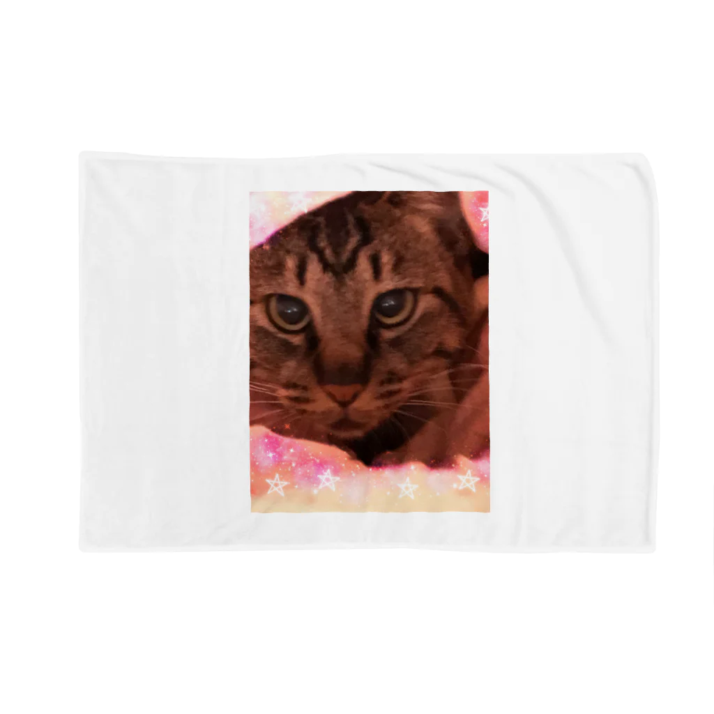 lunamoonaoのしましま猫ちゃん。 Blanket