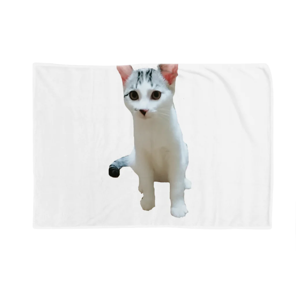 愛猫ちゃん達の毎日の★oujiii'★ Blanket