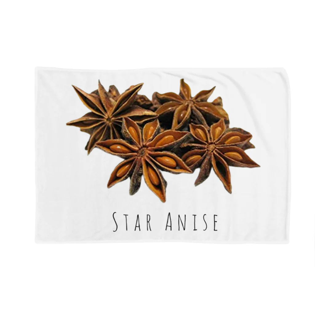 テイク コーポレーションのSTAR ANISE ブランケット