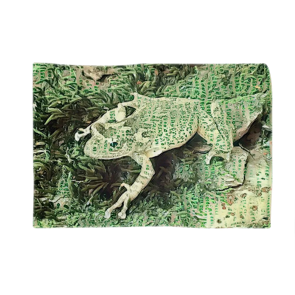 Fantastic FrogのFantastic Frog -Paper Money Version- Blanket