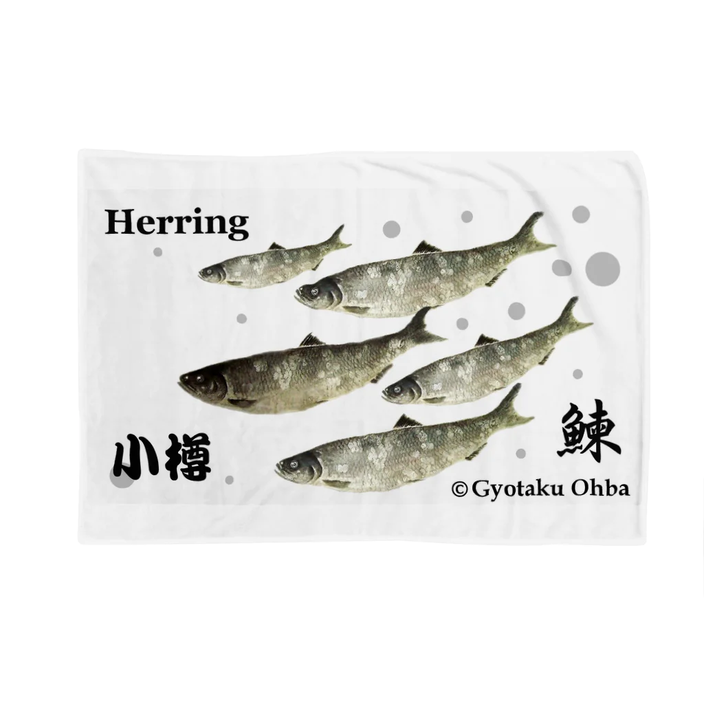 G-HERRINGのニシン！ 小樽（鰊；HERRING；群雄）あらゆる生命たちへ感謝をささげます。※価格は予告なく改定される場合がございます。 Blanket