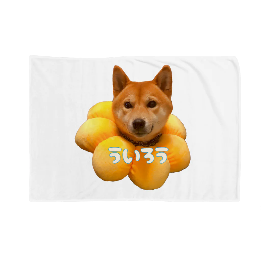 xxxxの柴犬のういろう Blanket