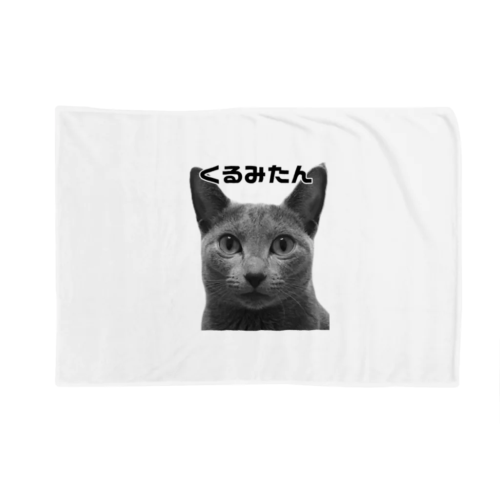 あとみーのくるみたんグッズ Blanket