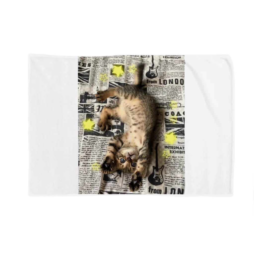 2654の仔猫のtiro  Blanket