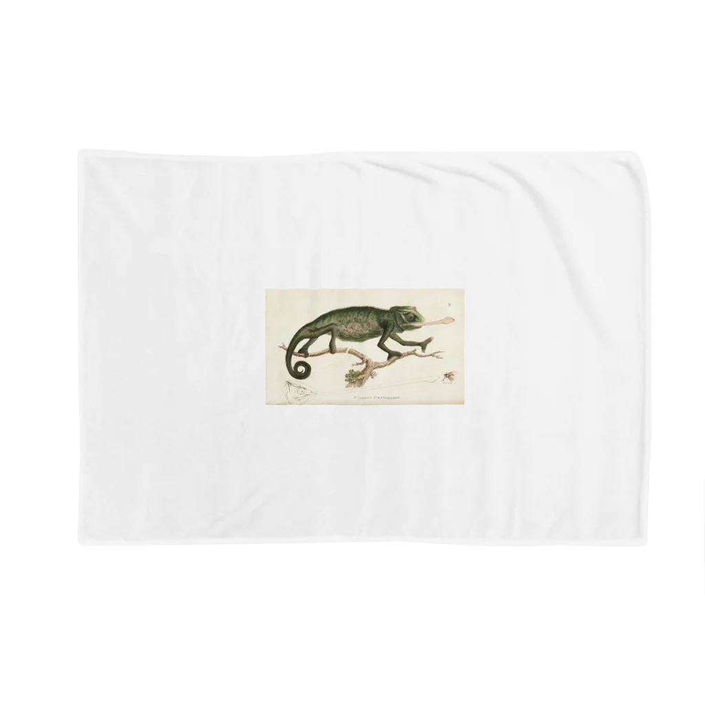 J. Jeffery Print Galleryのカメレオン Blanket