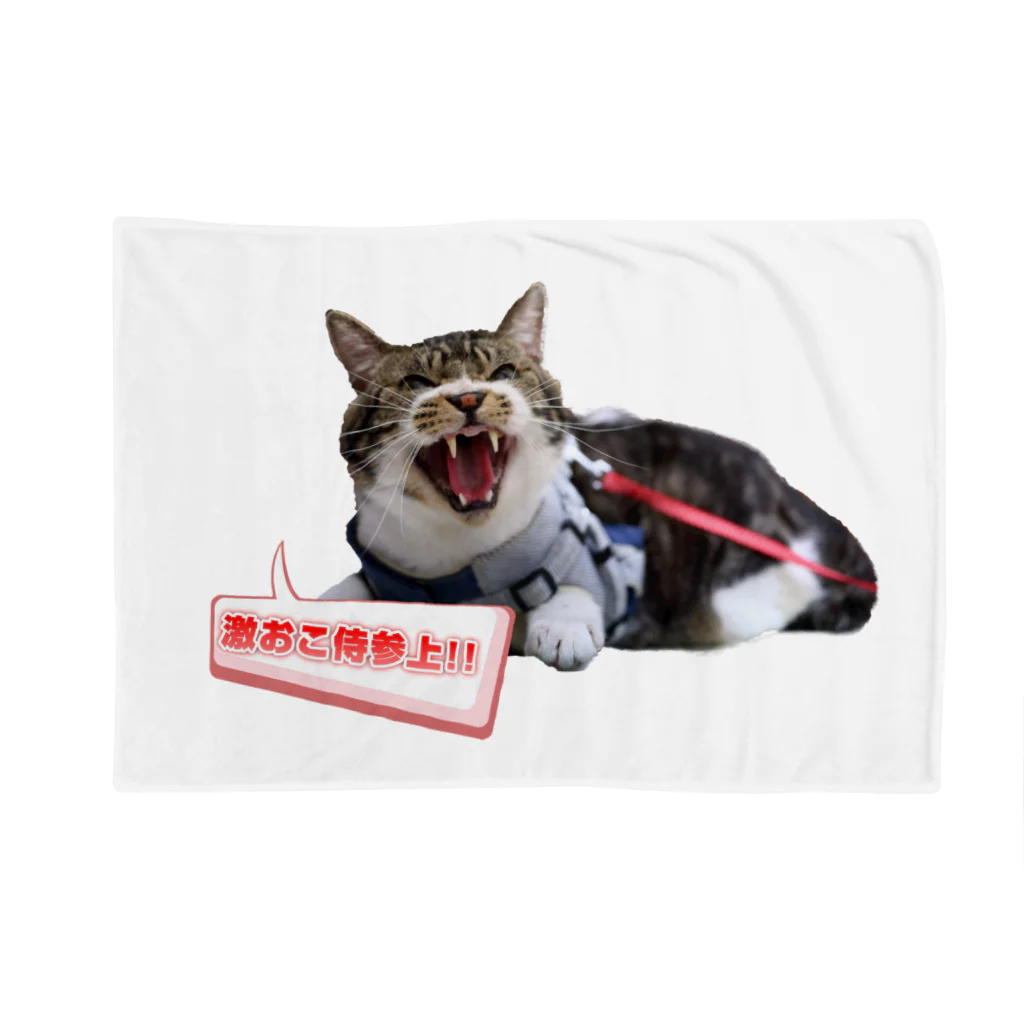 RIKICHANNEL OFFICIAL SHOPの真・激おこ侍シリーズ Blanket