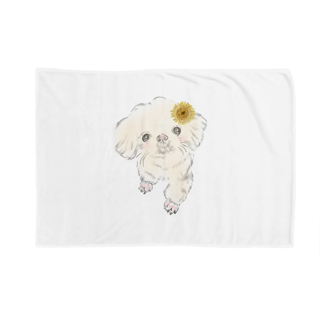 トト(兎〃)ｓｈｏｐの白ペキのにこ Blanket