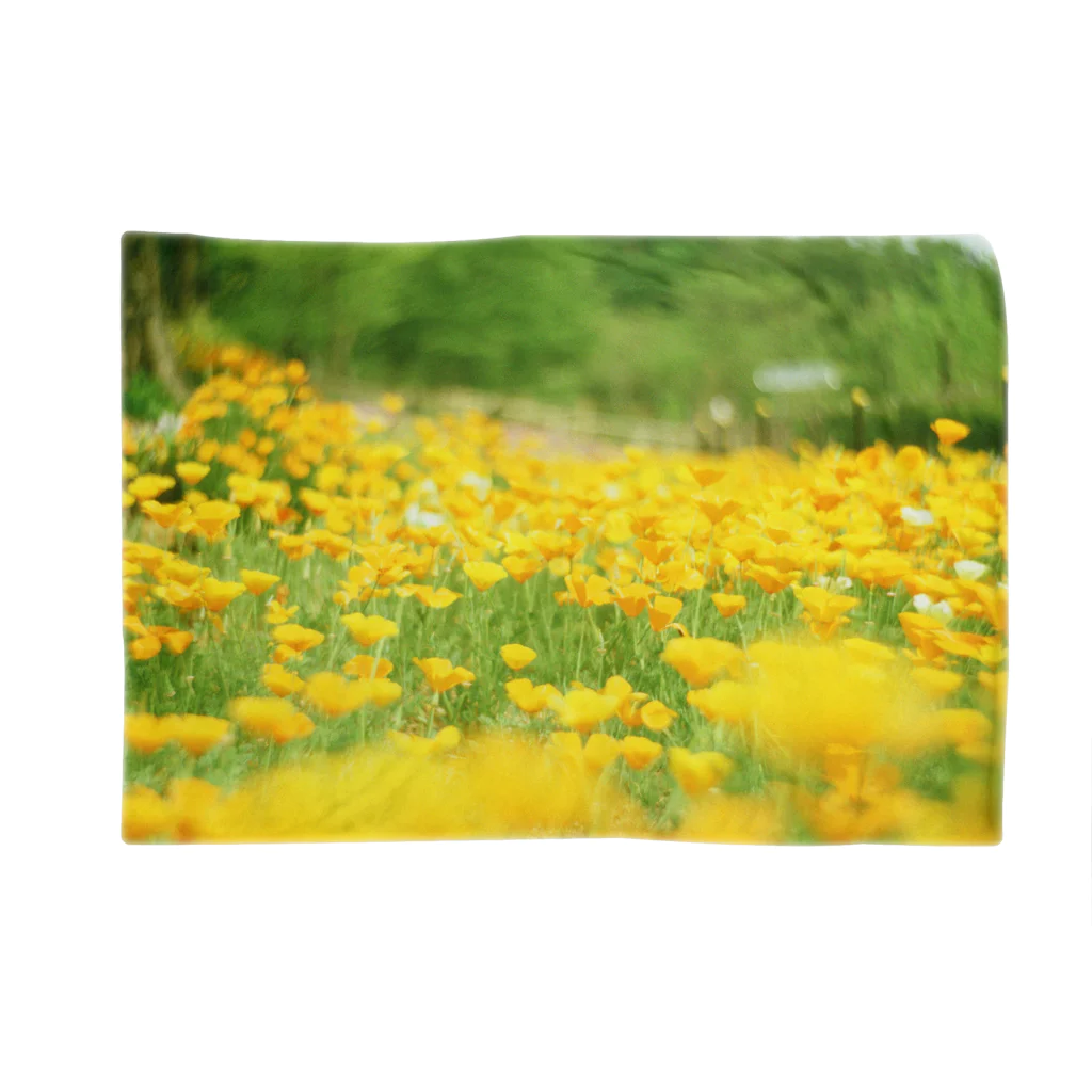 おもちゃカメラの写真世界の黄色の花畑 Blanket