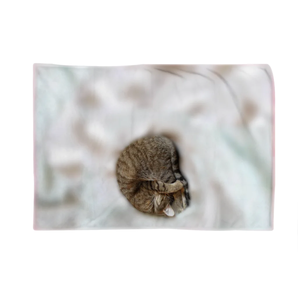 murafutaの膝で寝るネコ Blanket