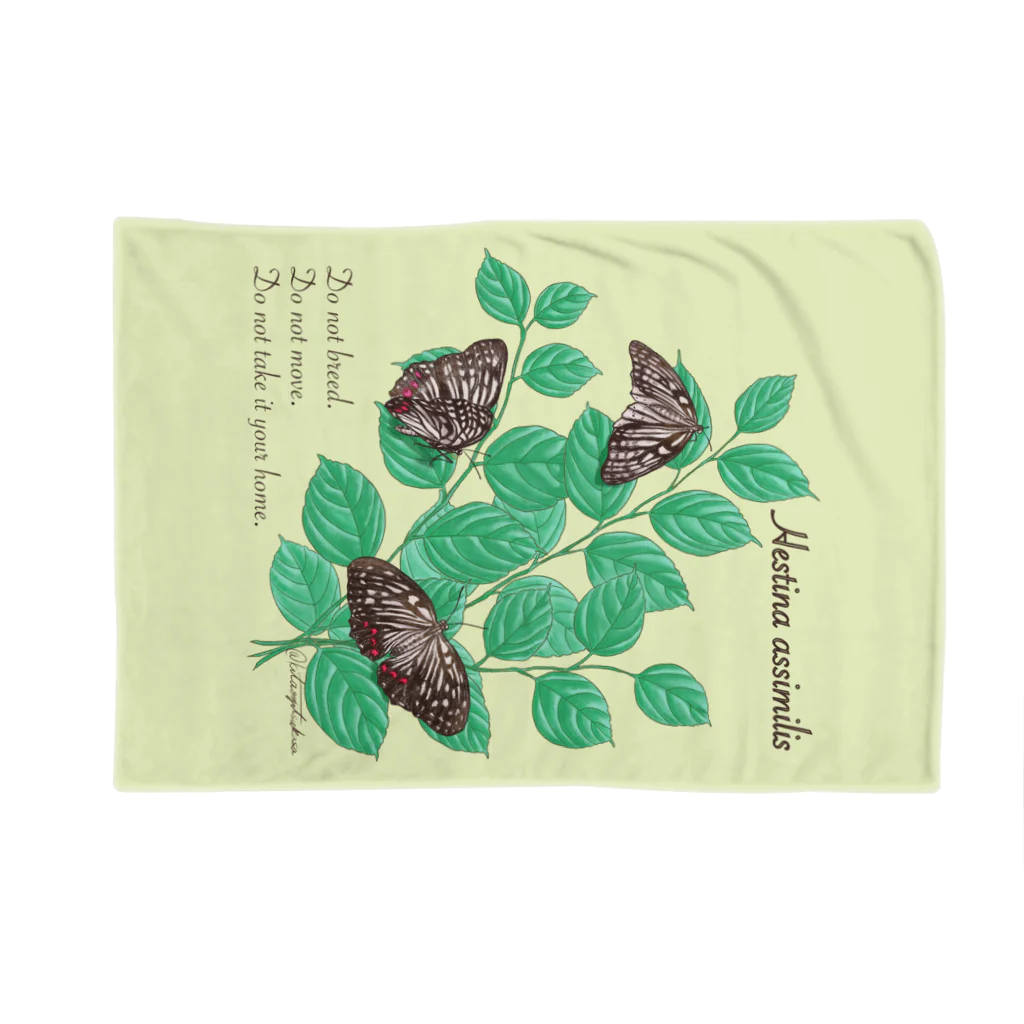 kitaooji shop SUZURI店のアカボシゴマダラとエノキ Blanket