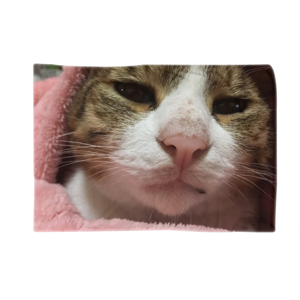 625626のねこねこ Blanket