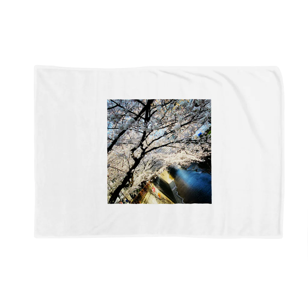 ppmの桜 Blanket