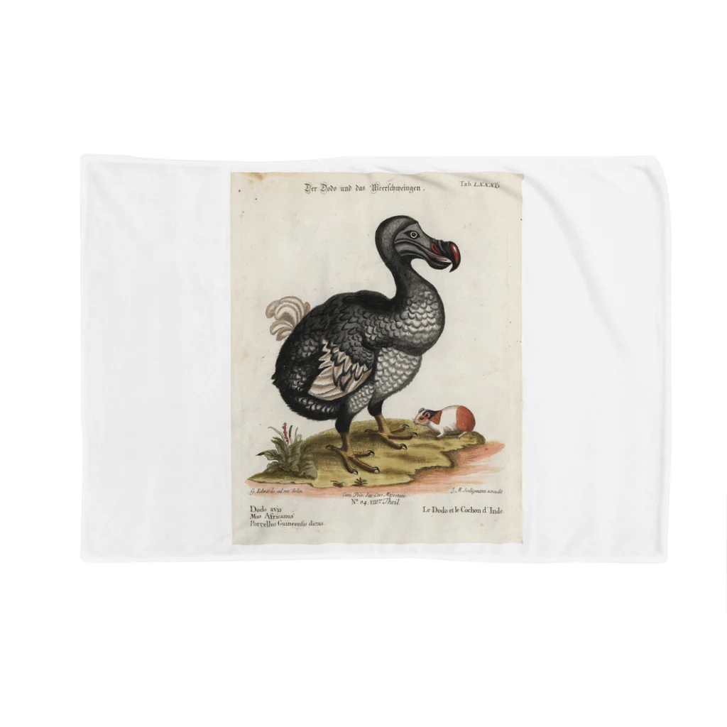 J. Jeffery Print Galleryの絶滅の鳥　ドードー Blanket