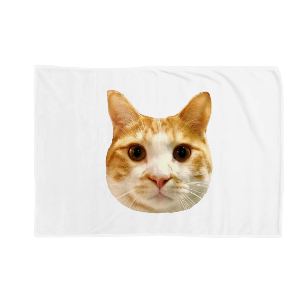 straycatbluesの元気がでる猫みーたろう Blanket