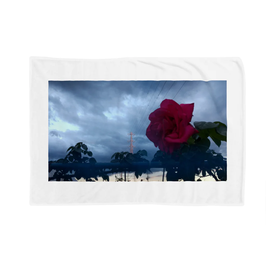 halo arts (はろあーつ)🌈中村大当たり🎯の曇り空に咲く Blanket
