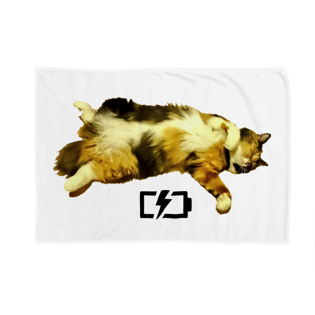 CAT CROWNのキャンディの開き Blanket