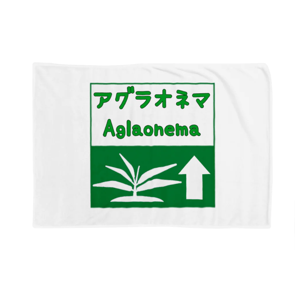 がま八のお店のアグラオネマ　高速道路標識風ピクトグラム ブランケット