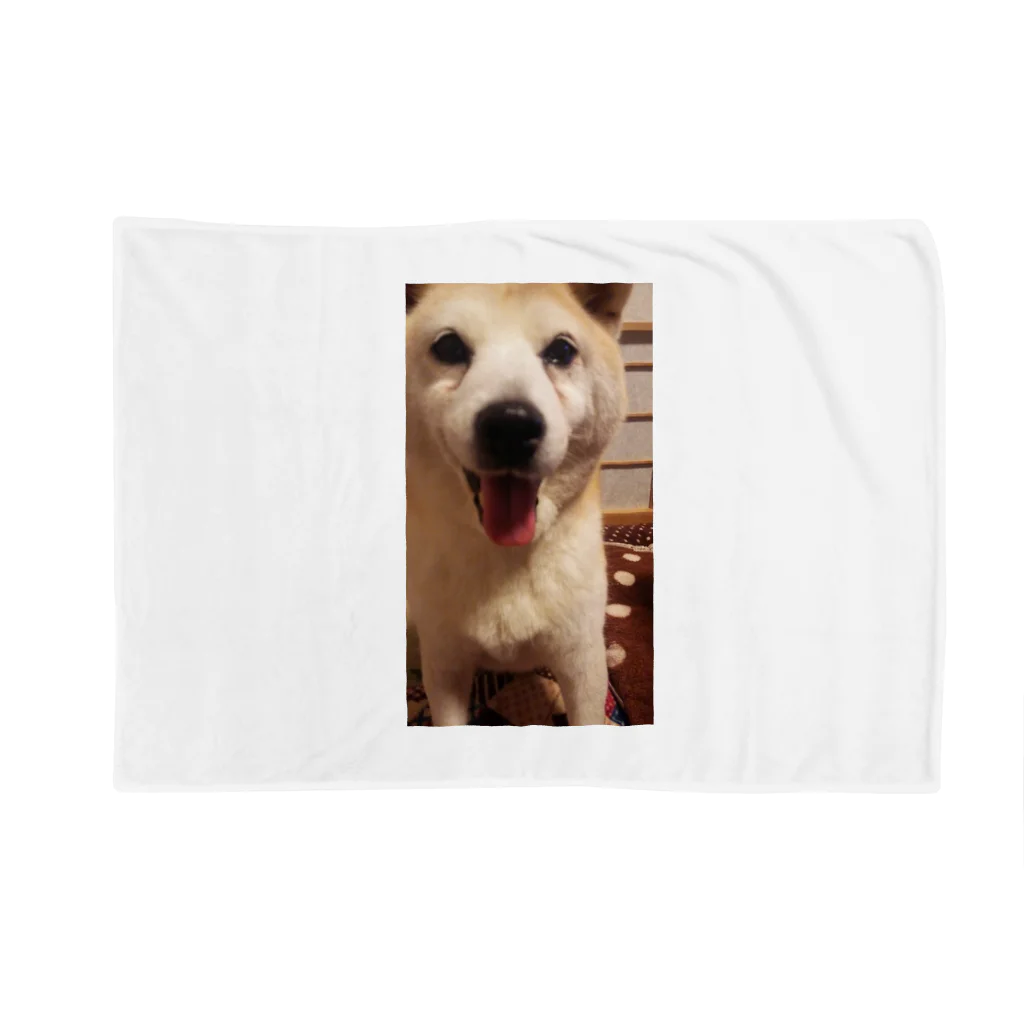 shibainuひめこのhimeko Blanket