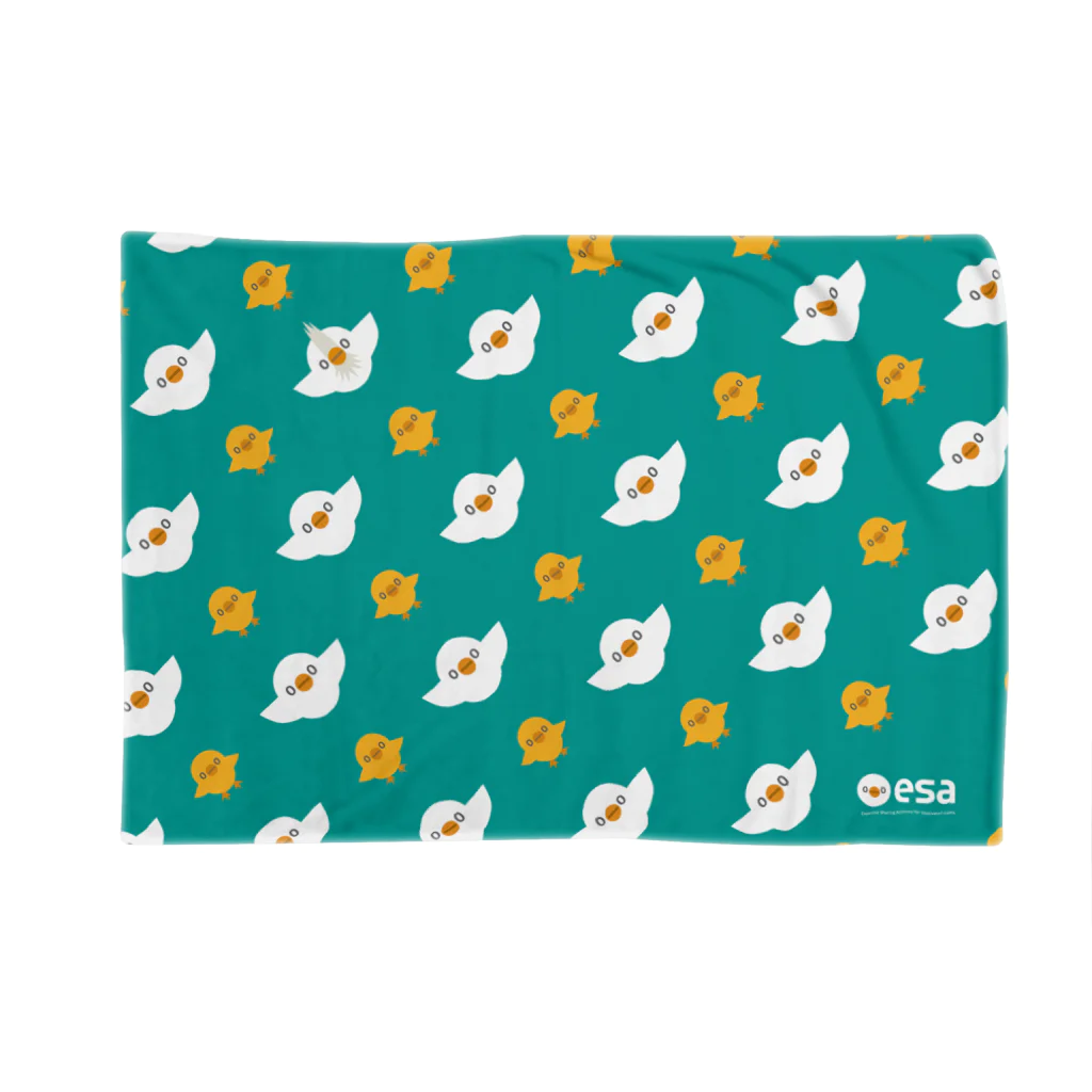 (\( ⁰⊖⁰)/) esaのｴｻｹｯﾄ Blanket