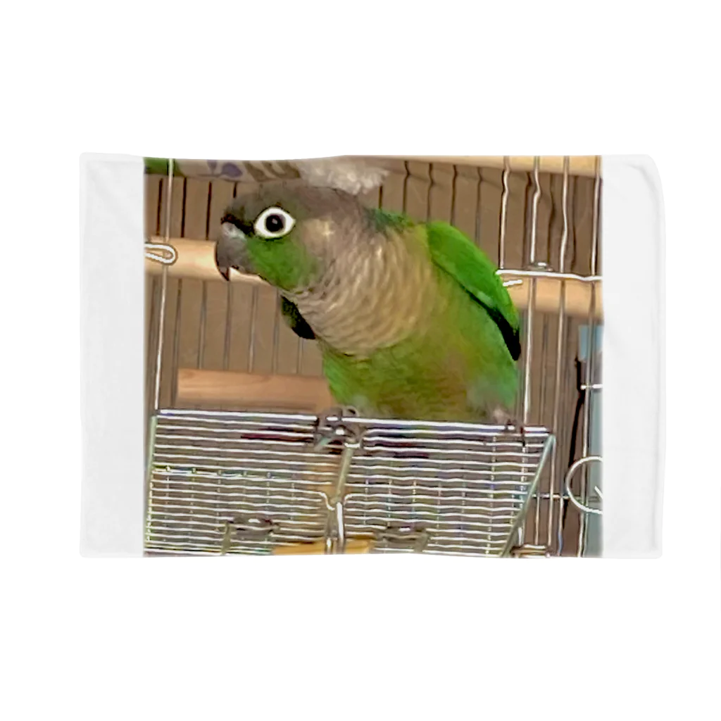 inko andのウロコインコのおーちゃん Blanket