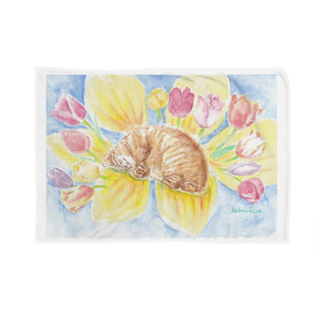 ねこさくの春眠猫 Blanket
