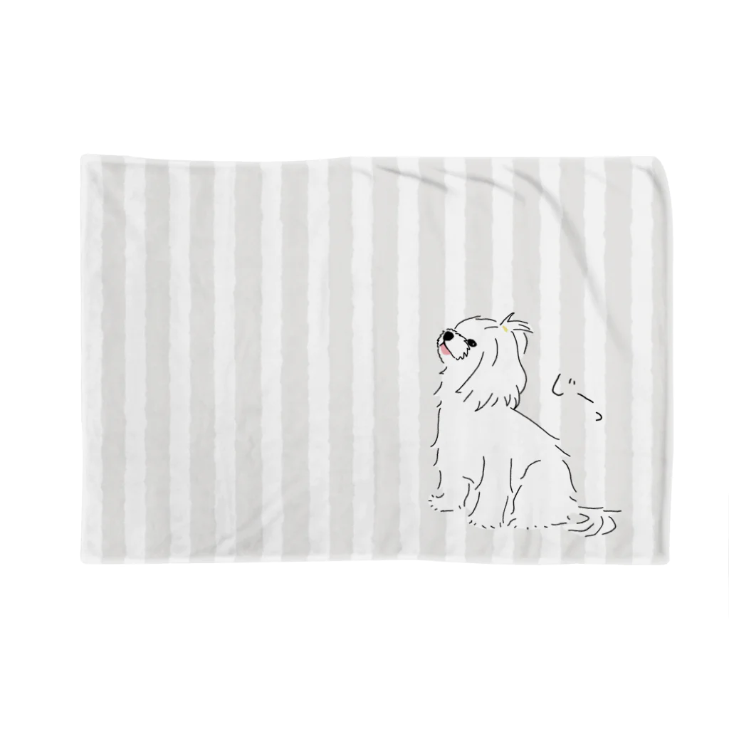 merciro maltese dogのおすわりマルチーズ犬（ブランケット） Blanket