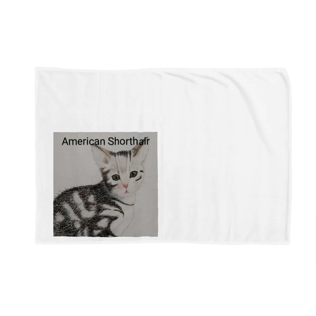 シマリス部　の猫さんAmericanshorthair　四角 Blanket