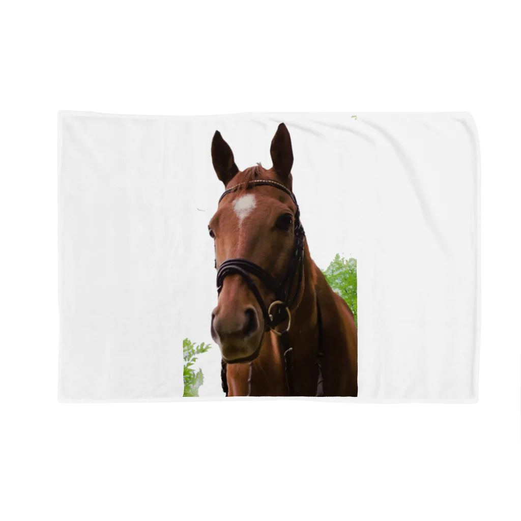 Teatime ティータイムの牧場 乗馬 馬術の馬 Blanket