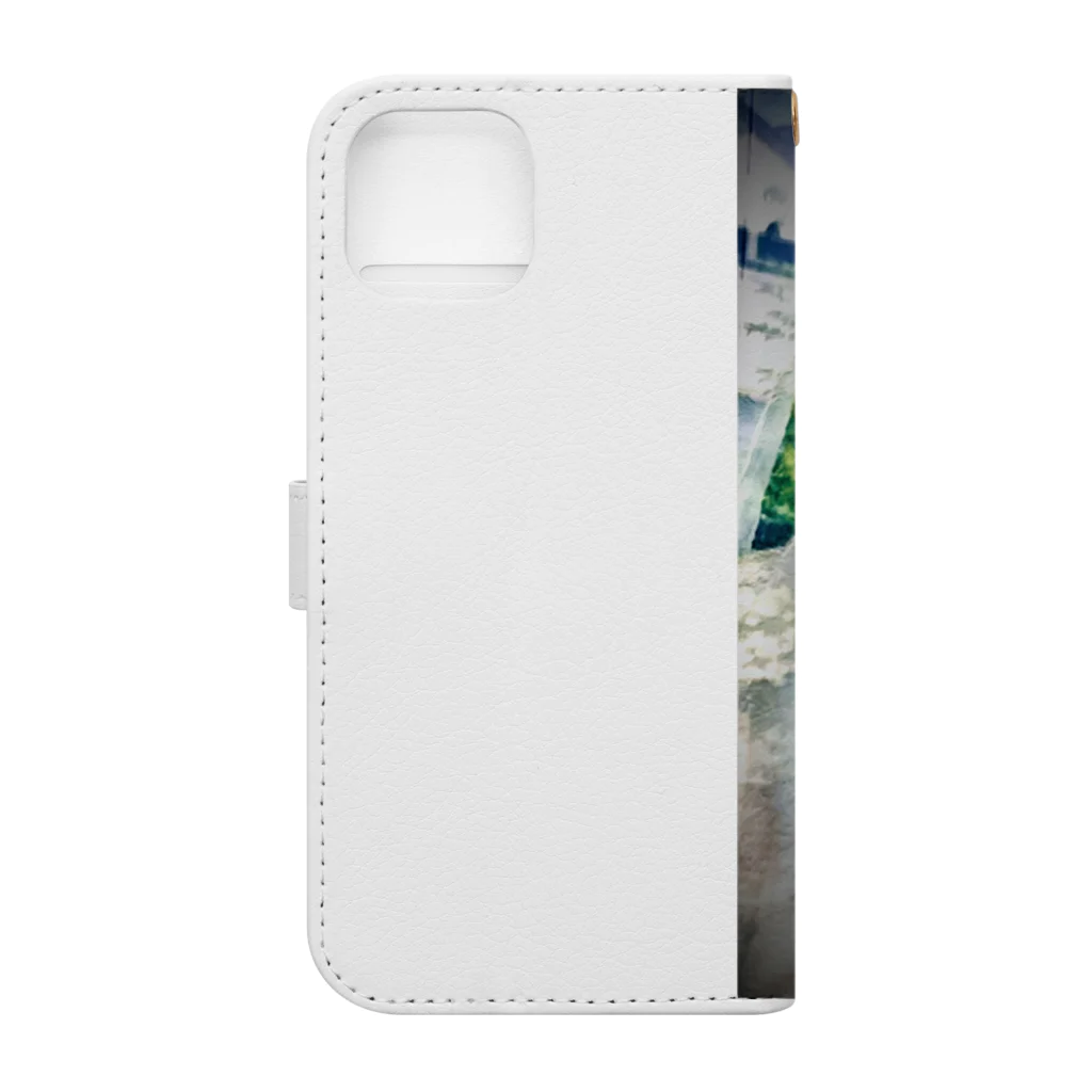 ピリカとカムイの保護猫のカムイ君 Book-Style Smartphone Case :back