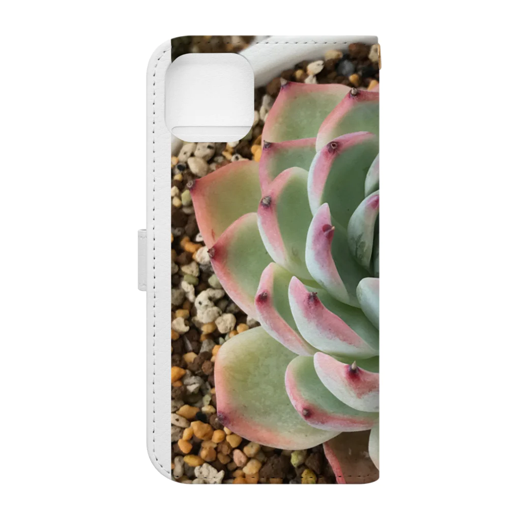 シアン猫の植物図鑑のエケベリア チワワエンシス Book-Style Smartphone Case :back