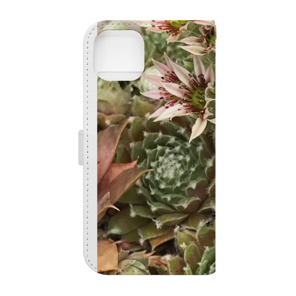 シアン猫の植物図鑑のセンペルビュームのお花 Book-Style Smartphone Case :back