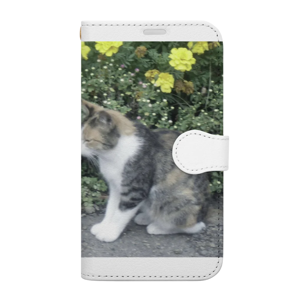 fmnのhometown cat Book-Style Smartphone Case