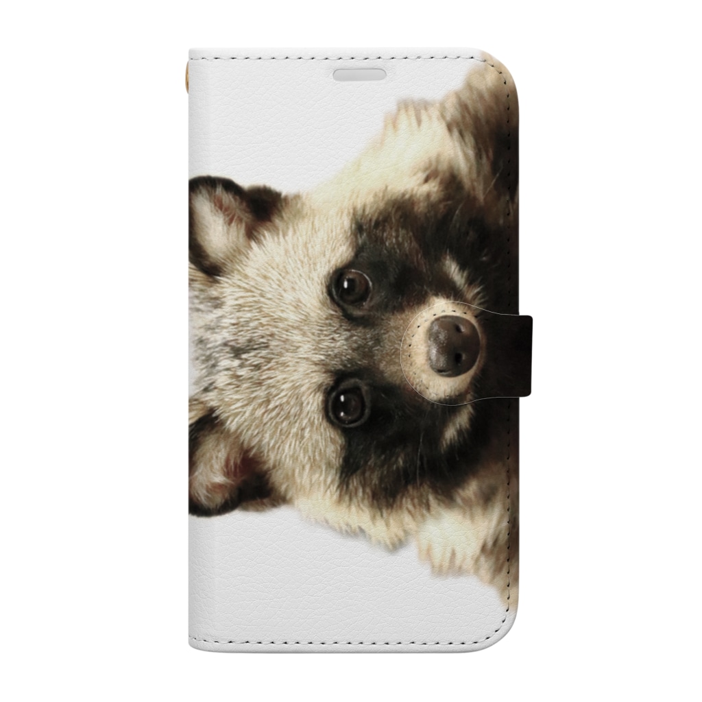 【iPhone14/13/12Pro/12専用データ】(無地)タヌキのリンク / 有限会社サイエンスファクトリー ( science