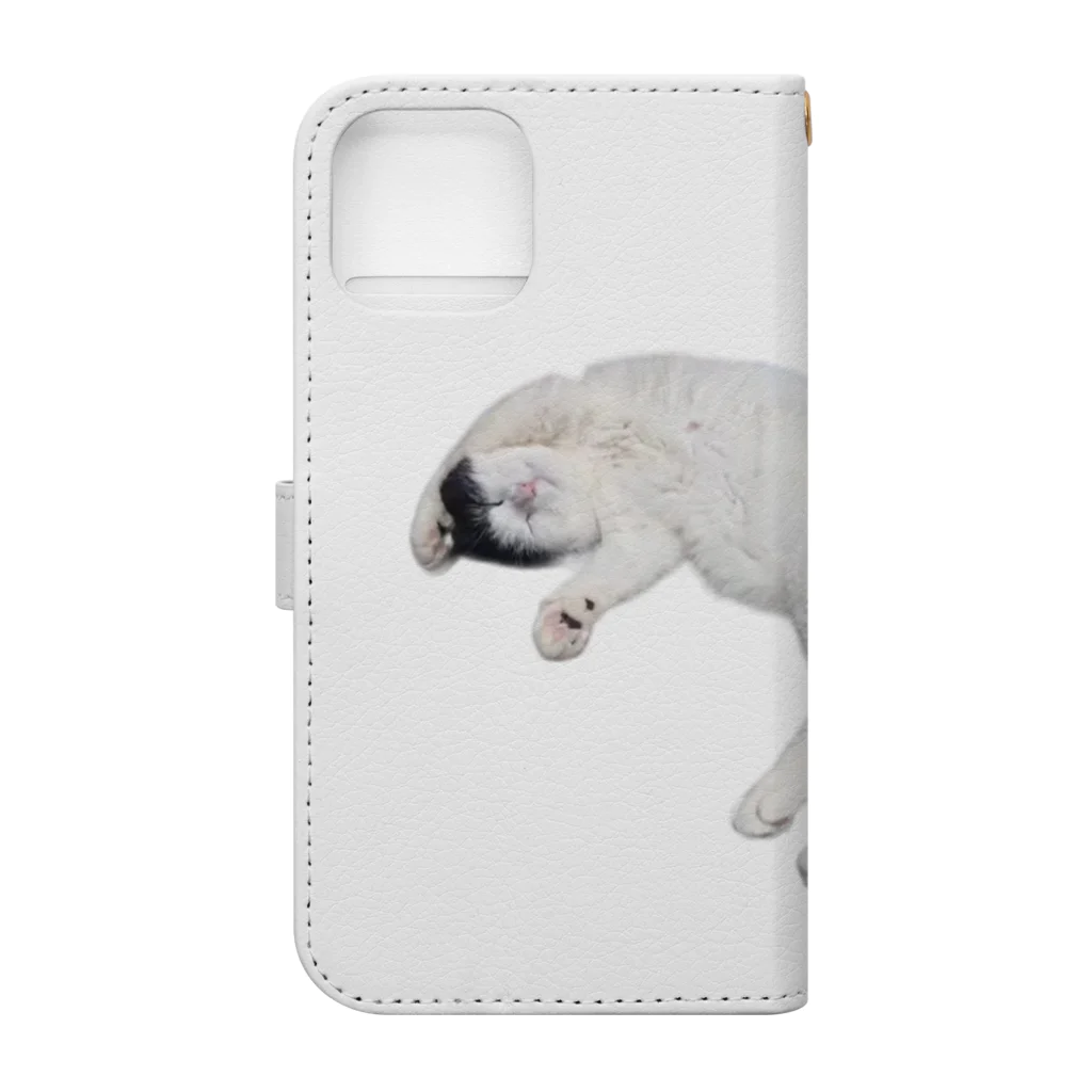 クリスタの尻尾が短い保護猫 たぬちゃん Book-Style Smartphone Case :back