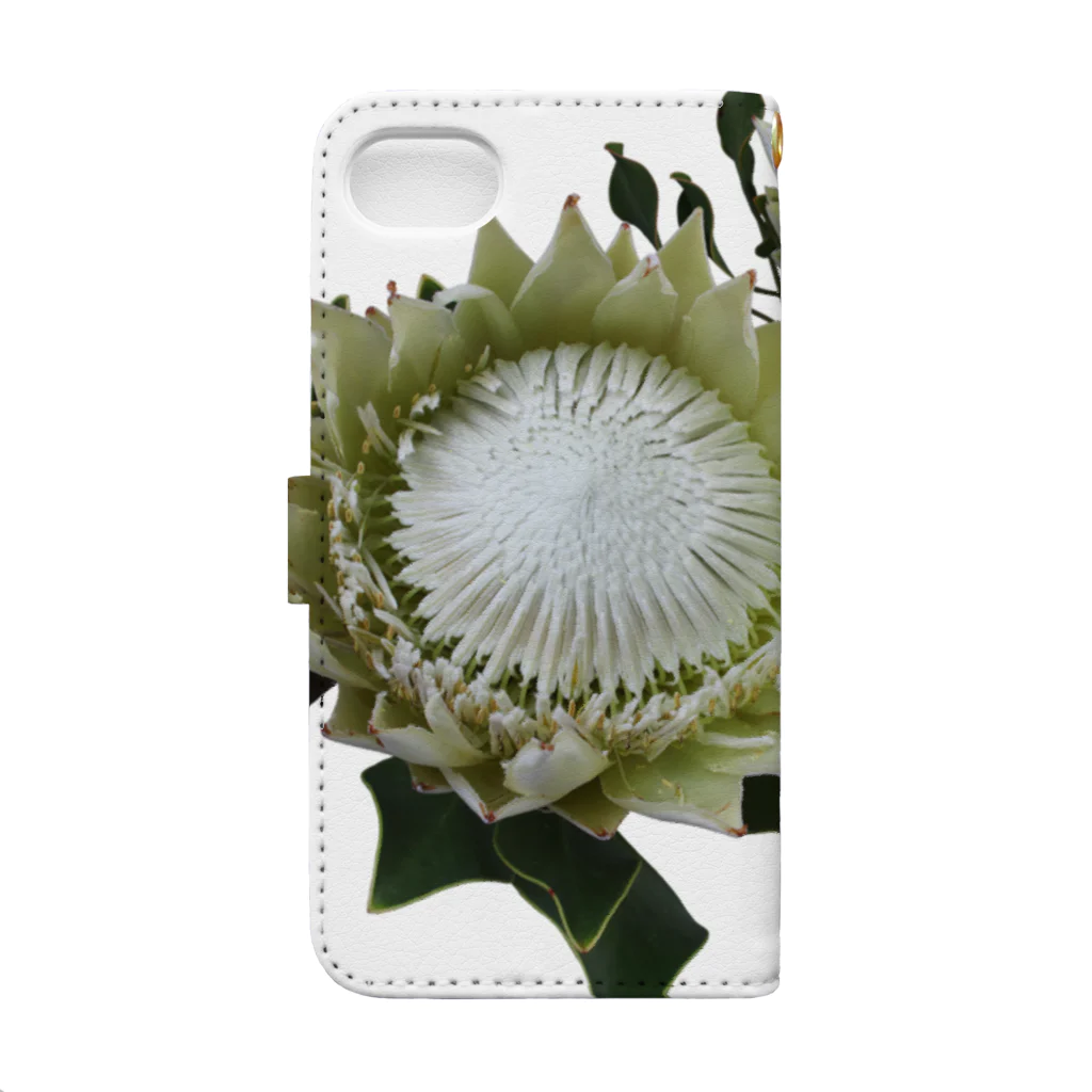 flower & Plants EdenのWild Flower キングプロテア Book-Style Smartphone Case :back
