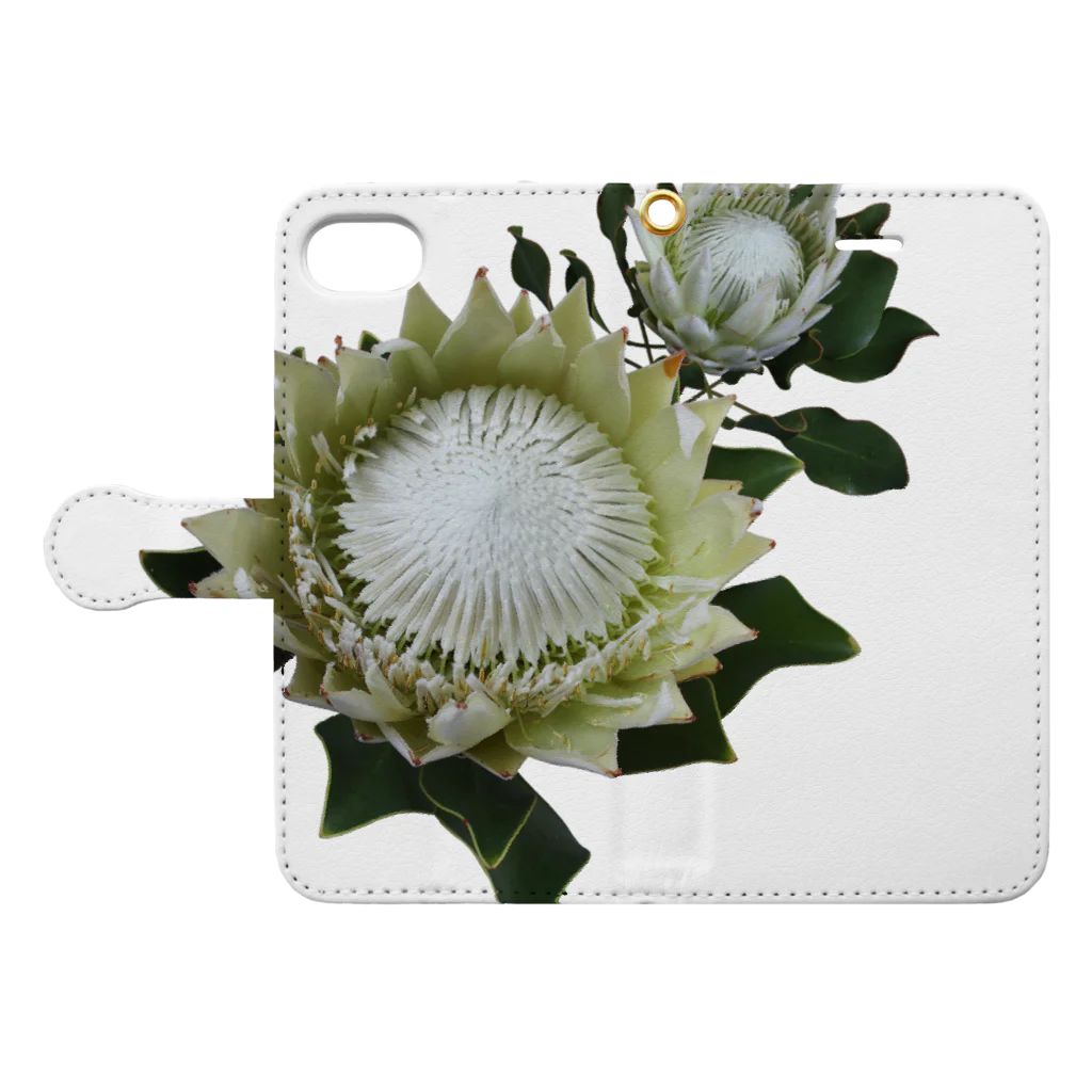 flower & Plants EdenのWild Flower キングプロテア Book-Style Smartphone Case:Opened (outside)