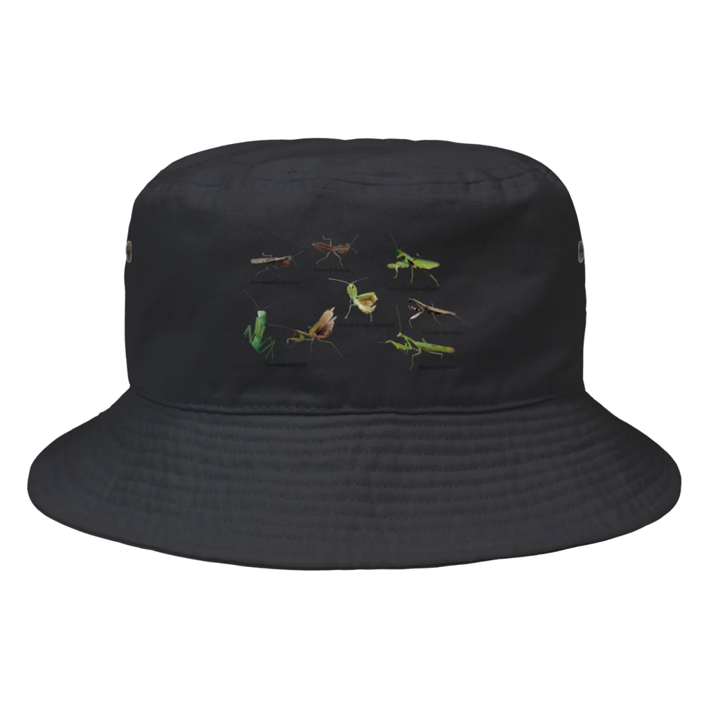 L_arctoaの関東のカマキリ Bucket Hat